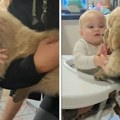 Beba i pas osvajaju na prvi pogled: Video koji popravlja raspoloženje