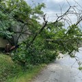 Pančevo pod vodom Nevreme napravilo haos na 12 kilometara od Beograda, vetar obarao drveće (video)