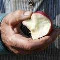 Jabuke mogu biti smrtonosne u jednom slučaju: Pazite kad putujete