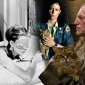 Brkate, a neodoljive filmske zvezde: Najpoznatije mačke u svetu kinematografije i njihove legendarne uloge