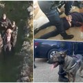 Policijski pas pronašao dvostrukog ubicu u Crnoj Gori! Pogledajte gde se krio osumnjičeni Vulević: Policija otkrila detalje o…