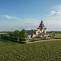 Chardonnay Vinarije Zvonko Bogdan: Vino koje iz berbe u berbu potvrđuje svoj kvalitet