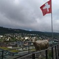 Švajcarci uradili nečuveno! Žele da kontrolišu tržište kokaina: Parlament usvojio predlog ubedljivom većinom