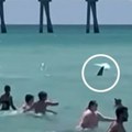 Jeziv snimak sa peščane plaže: Ajkula pliva u plićaku među decom - kupači vrište i beže (video)