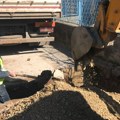 HITNO ZATVARANJE VODE: Barje, Novo Tigrovo naselje i Kozaračka bez vode do popodne