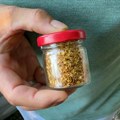 Najskuplja ljuta paprika na svetu proizvodi se u Šumadiji! Dušan napravio unosan biznis - Cena po kilogramu dostiže vrtoglavih…