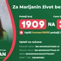 Marijani Aksić, novinarki iz Kladova, potrebna pomoć za transplantaciju bubrega u Belorusiji