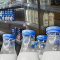 Vlada usvojila Uredbu o pomoći proizvođačima mleka u prahu namenjenog konditorima