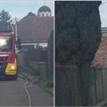 Porodici koja je ostala bez krova nad glavom hitno potrebna pomoć Tate Novosađani apeluju na sugrađane: Roditeljima s dvoje…