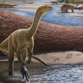Otkrivena nova vrsta dinosaurusa u Zimbabveu - evo kako je izgledao Musango, koji je jeo životinje slične krokodilima