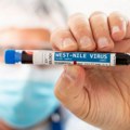 Alarm u Rumuniji: Virus Zapadnog Nila odneo tri života, registrovano blizu 60 zaraženih
