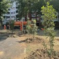 Novi izgled međublokovskog prostora u Branka Krsmanovića: Više zelenila i sadržaja za decu