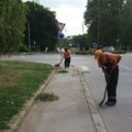 JKP „Mediana“ Niš: Uređenje blokovskog zelenila, mobilijara i farbanje klupa