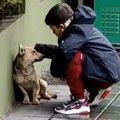 Sva nežnost sveta u jednoj sceni: Dečak iz Sremske Mitrovice prišao psu na ulici, a njegov postupak nikog nije ostavio…
