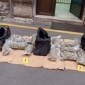 Policija uhapsila sedam osoba i zaplenila 20 kilograma marihuane