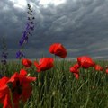Vremenska prognoza za 25. maj: Pre podne pretežno sunčano, popodne promenljivo oblačno