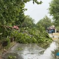 Jako neveme pogodilo Suboticu, olujni vetar čupao drveće, hitne službe na terenu