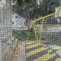 Izgleda kao da je preko njega prešao bager: Drvo palo na igralište na Novom Beogradu