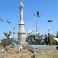Obeležena 309. godišnjica Bitke kod Petrovaradina