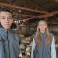 Željana (16) i Teodor (18) čuvaju 500 ovaca na jednoj od najvećih farmi u Banatu: "Ostajemo na selu" (foto)