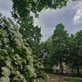 Ujutru vedro i hladno, posle podne oblačno i mestimično kiša