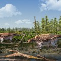 Novo otkriće: Oklopni dinosaurusi pronađeni na ostrvu Vajt