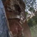 (Video) "Akcija je za****na!" Vladica uleteo u šupu i zatekao horor, objavio kad snimak od kojeg se ledi krv u žilama: Hiljadu…