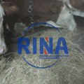 Jedini konzervans koji se koristi je so: Zlatiborske krave sada daju organsko mleko, stočari prilagodili svoj način rada…