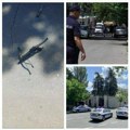(Foto) Pogledajte prve fotografije s mesta gde je žandarm napadnut: Policija opkolila ambasadu na Dedinju (foto)