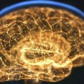 Meningitis: Od infekcije do smrtonosne bolesti