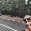 Prepešačio bez povrede Srbiju i pola Balkana, pas ga ujeo u centru Niša