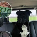 Srbin nudi 10.000€ nagradu za onoga ko mu pronađe psa! Mreže se usijale: "Šaljete gluposti samo zato što su tolike pare"