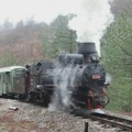 Počinje zimska sezona voza „Nostalgija“ na Mokroj Gori, poznata i cena karte