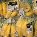 Kupili banane, a na putu do hotela ćerke su počele da vrište: Zbunjeni otac je tada ugledao nešto odvratno