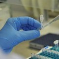 Osvajaju svet iz novog sada Evo kako Institut za ratarstvo i povrtarstvo čuva prehrambenu sigurnost Srbije