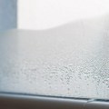 Rešite se zamagljenih prozora: Ovaj jednostavan i jeftin trik efikasno sprečava kondenzaciju