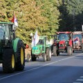 Izbori i Vojvodina: Teme kriminala i korupcije skrajnuli pokrajinu