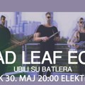 Shoegaze trio Dead Leaf Echo prvi put u Beogradu
