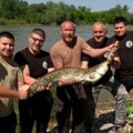Neobičan ulov za Prvi maj: Svilajnčani izvukli iz Morave pravu premiju, pa učinili ono što niko nije očekivao