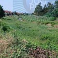 Čitaoci javljaju: Kej od Zelene pijace do mosta prema Leteksu pravi zmijarnik