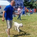 Predstavljene argentiske doge iz zemlje iminostranstva na takmičenju u Velikoj Kopašnici