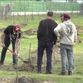 U Sremskim Karlovcima posađen Memorijalni park kao podsetnik na NATO bombardovanje