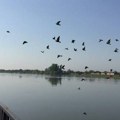 DANAS DO 36 STEPENI, A ONDA STIŽE PROMENA: Sremska Mitrovica pod narandžastim meteoalarmom, evo kakvo nas vreme čeka narednih…