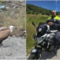 Овај потез полицајца заслужује аплауз Белоглави суп крај пута сатима лежао немоћан, а онда је наишао Муамер – и није, као…