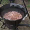 Druženje i jačanje duha zajedništva u Koloniji