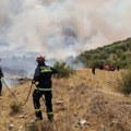 Srpski heroji se vratili iz grčke Evo šta su sve tamo preživeli: "Spasili smo najmanje 40 domova"