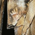 Naučnici slute mračan razlog zašto ljudima na pećinskim crtežima nedostaju prsti (FOTO)