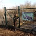 Prvih osam grla evropskog jelena stiglo u prihvatilište kod Knjaževca