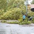 Jako nevreme u Inđiji: Vetar čupao stabla i lomio grane, pričinjena velika materijalna šteta