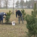 Pošumljavanje Bašaida - selo bogatije za više od 200 sadnica